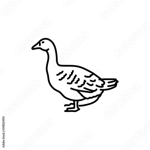 Goose black line icon. Farm animals.
