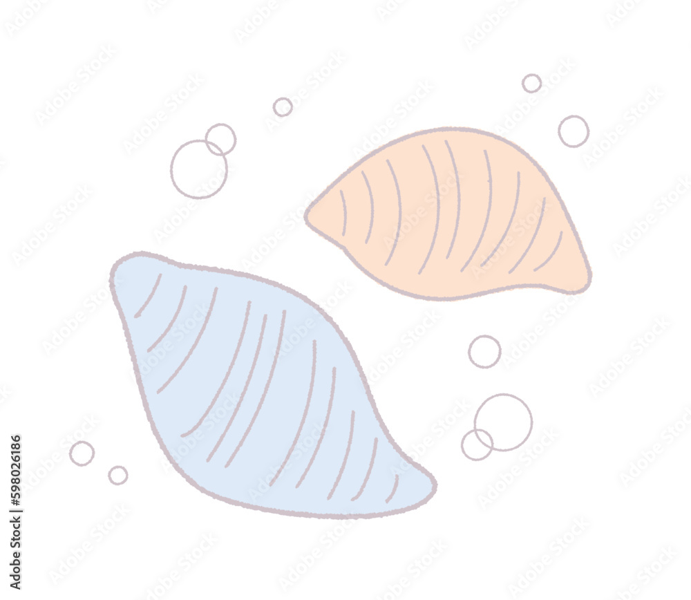 貝がらの手書き線画ベクターイラスト 貝がらの手書き線画ベクターイラスト