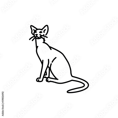 Oriental shorthair cat black line icon. Farm animals.
