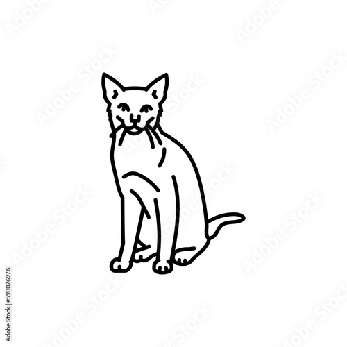 Russian blue cat black line icon. Farm animals.