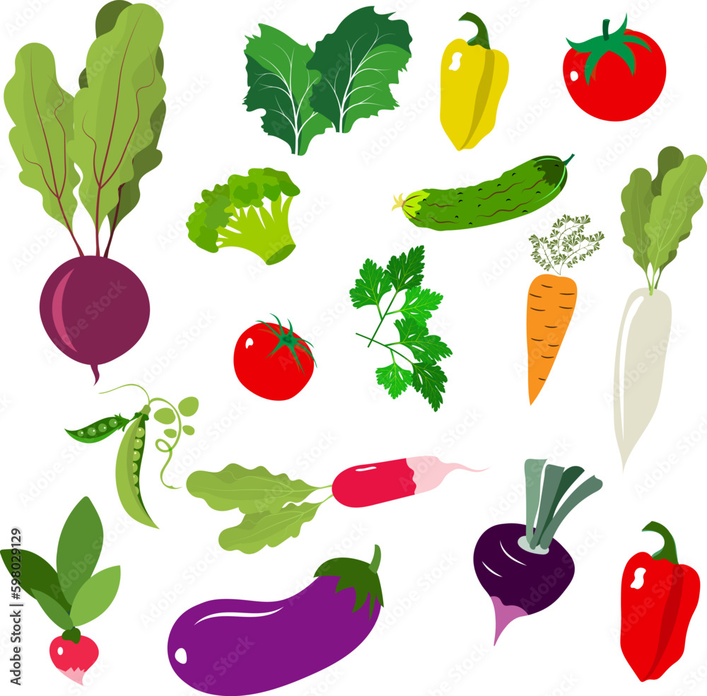 Farmer's market poster. Various fresh bright vegetables. Farmers market poster collection. Vector banner templates for local food fair. Farmer's market poster. Various fresh bright vegetables. Farmers market poster collection. Vector banner templates for local food fair.