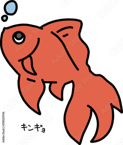 金魚のカラーイラスト