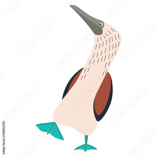 Cute, cartoon sula nebouxii bird. Flat vector illustration.