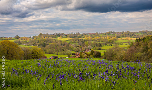 Billede på lærred bluebells and springtime countryside around Burwash on the high weald East Susse