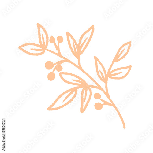 illustration of a flower