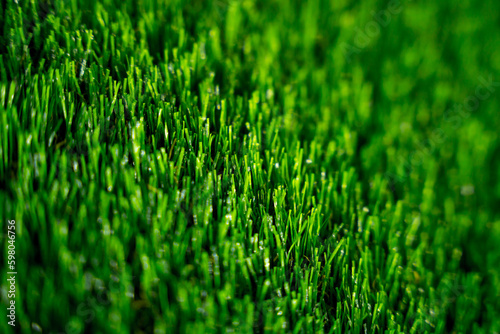 Background of artificial green grass at the showroom of a large store. 