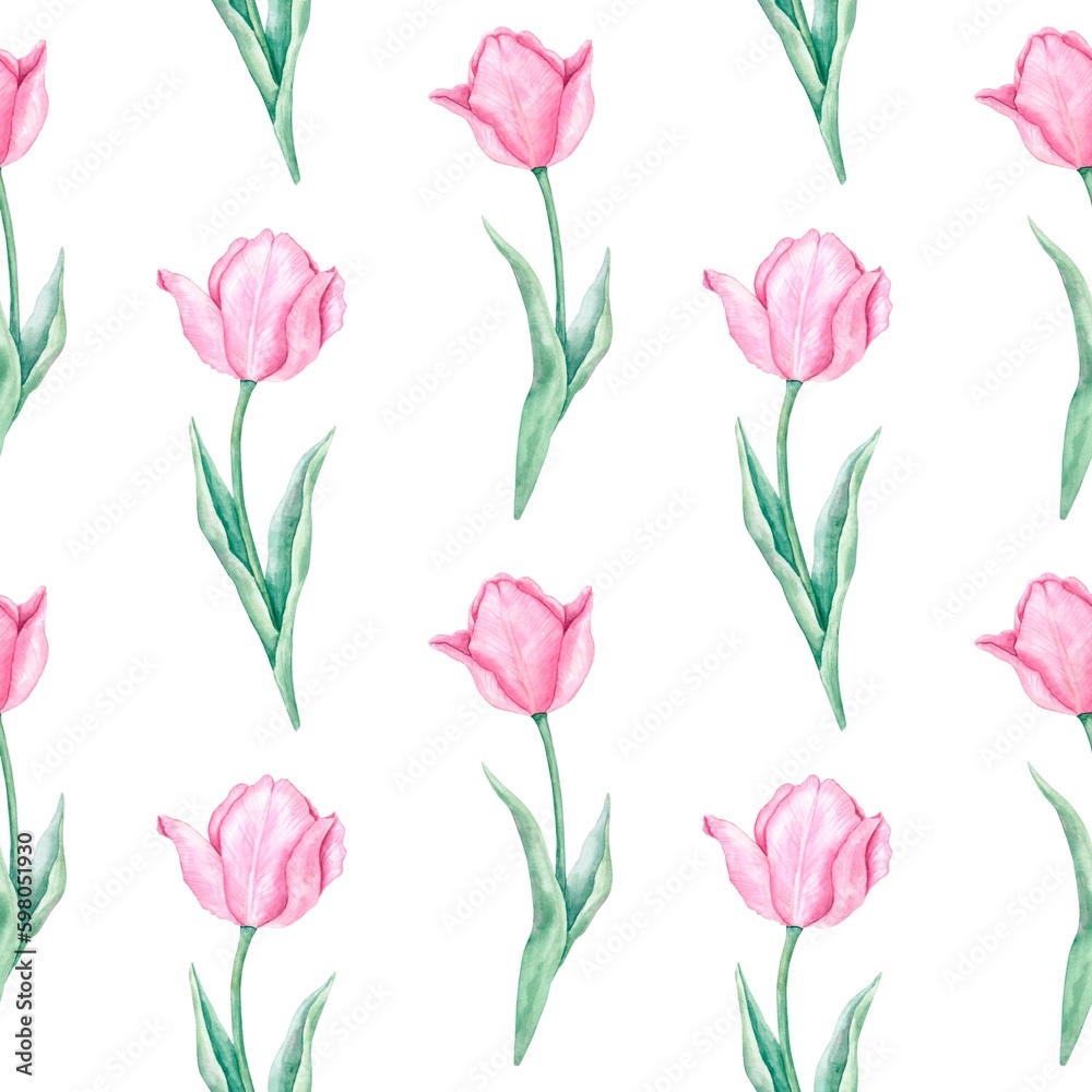 Seamless pattern with pink tulips on a green stem with leaves on a white background. Watercolor hand-painted spring background. Design for fabric, wrapping paper, cover art. Seamless pattern with pink tulips on a green stem with leaves on a white background. Watercolor hand-painted spring background. Design for fabric, wrapping paper, cover art.