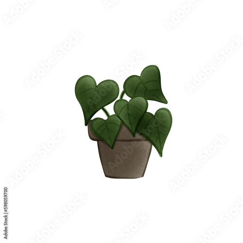 Plant