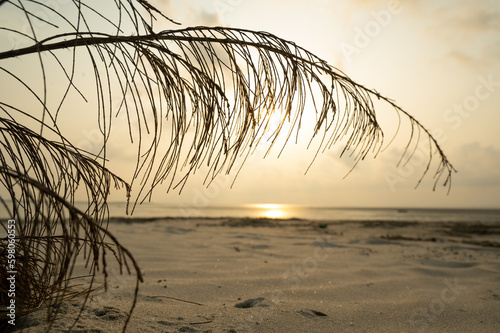 Beautiful landscape of Bakkhali sea shore in golden hour photo