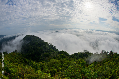 beautiful sea of mist and forest, view from Aiyoeweng View Point, Yala, Thailand