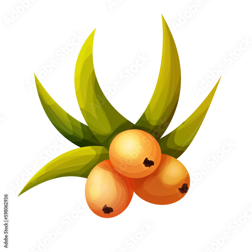 sea buckthorn with leaves in cartoon style, orange vitamine health berry on branch isolated on white background. Generative AI