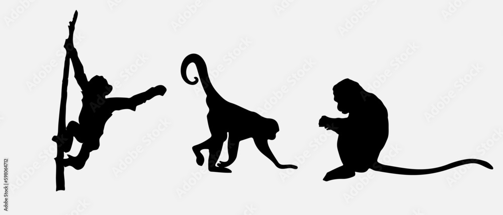 isolated black silhouette of a monkey , vector collection