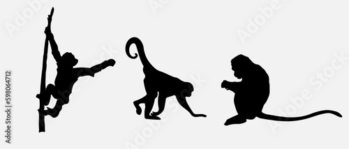isolated black silhouette of a monkey , vector collection