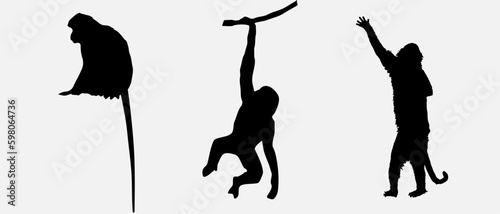 isolated black silhouette of a monkey , vector collection