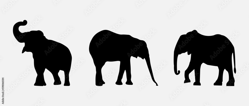 isolated black silhouette of a elephant , vector collection