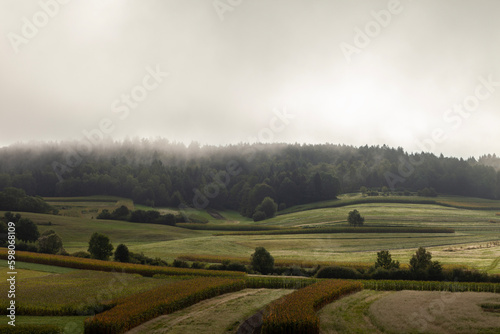Cloudy foggy morning rural landscape.