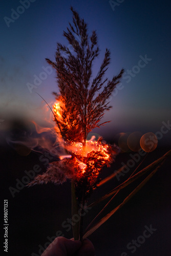 fire