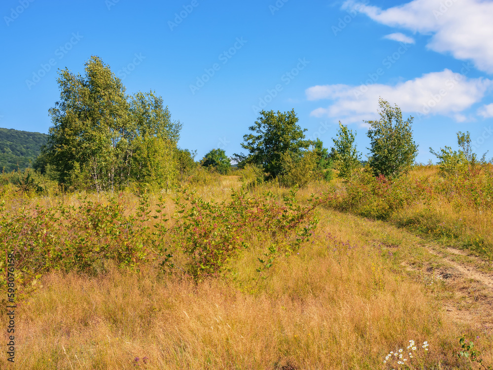 mountain landscape with green forest. typical countryside scenery in late summer mountain landscape with green forest. typical countryside scenery in late summer