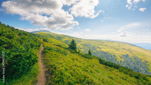 path through the mountain hill. wonderful landscape of carpathian mountains in summer. travel ukraine