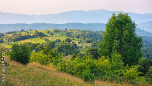 rural mountain scenery in evening light. stunning landscape with trees and meadows on hills rolling in to the distan valley