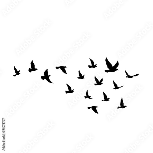 Flying birds silhouettes vector