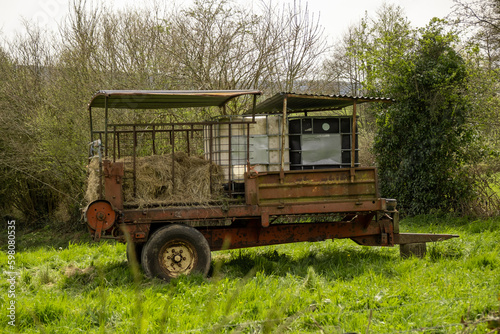 Trailer with food and water for animals on green grass. Cow feeding, farming.