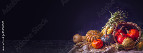 Autumn still life with pumpkin fruits of different colors and sizes and corn  banner  closeup on a dark background with space for text. Concept of Thanksgiving day