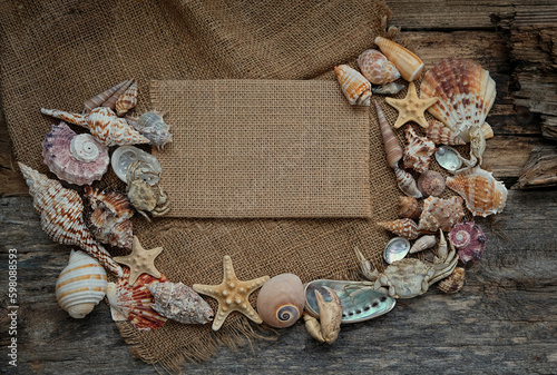 beautiful different Seashells, crab, starfish on rustic abstract background. symbol of sea travel, adventure, vacation, relax concept. World Maritime Day. top view. copy space. template for design