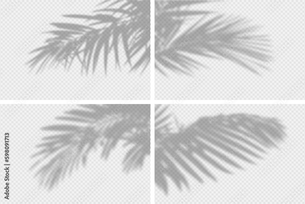 Shadow overlay of palm tree branch. Set of transparent overlay shadow effects from tropical palm leaves. Realistic soft light effect of shadows and natural light on transparent background. Vector. - obrazy, fototapety, plakaty 