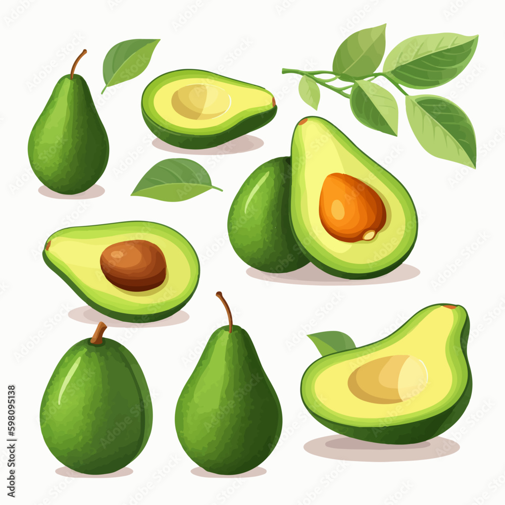 Vector illustrations of Avocado halves Vector illustrations of Avocado halves