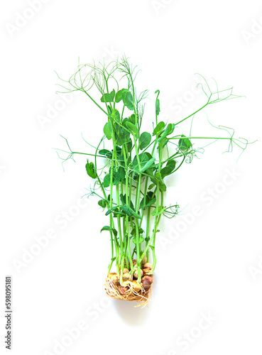 Pea microgreens isolate on white background. Selective focus.