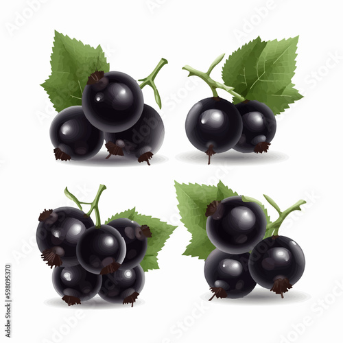 Black currant fruit icons in vector format