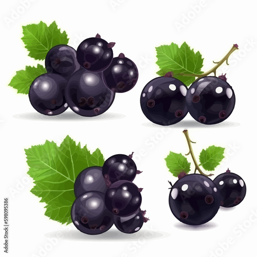 Seamless pattern of black currant fruits