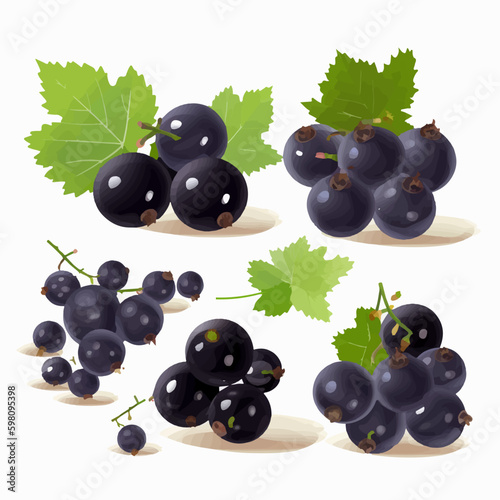 Colorful vector icons of black currant fruits