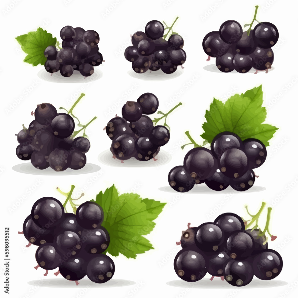 Black currant fruit vector art with leaves and flowers Black currant fruit vector art with leaves and flowers