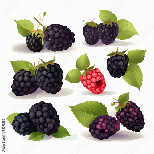 A pack of stylish Black Berry illustrations