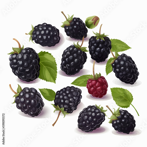 Modern and unique Black Berry vector illustrations