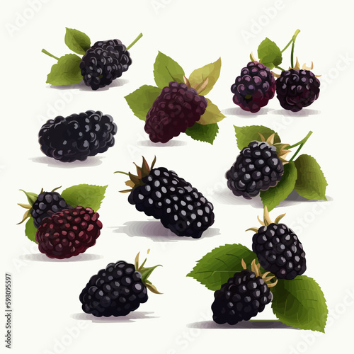 A set of beautifully crafted Black Berry graphics