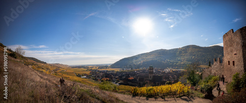 vineyard Kaysersberg, Alsace, France 