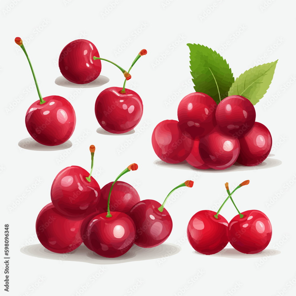 A set of hand-drawn Cherry illustrations in vector format.
