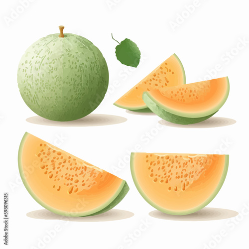 Collection of cantaloupe fruit pattern backgrounds