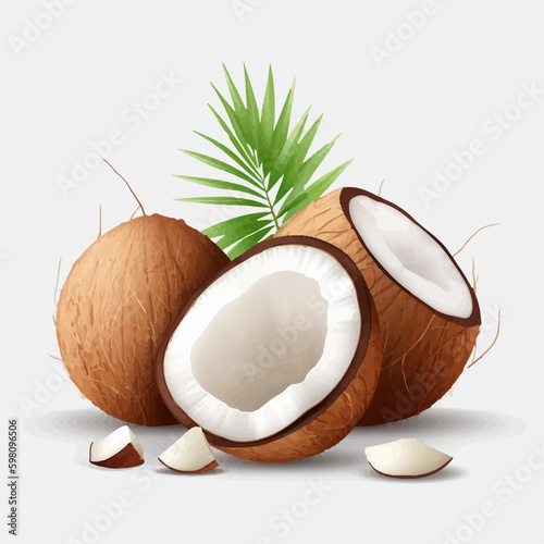 A set of coconut illustrations with a sketchy style