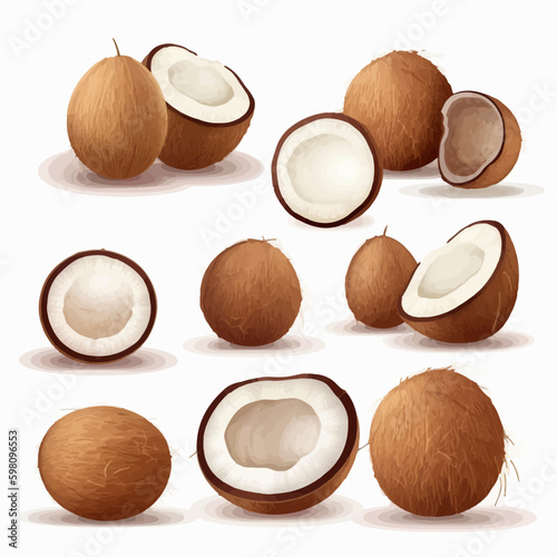 A set of coconut vector illustrations with a tribal pattern