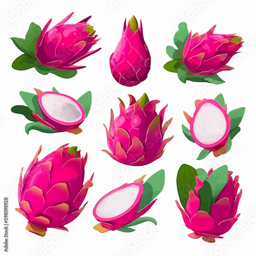 Vector illustrations of dragon fruit with a bold and colorful style.