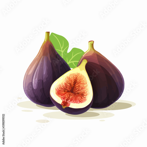 Vector illustration of a ripe fig.