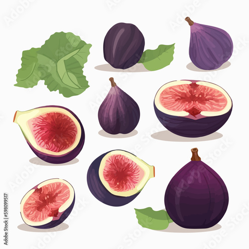 Fig vector illustration with a textured surface and vibrant colors.