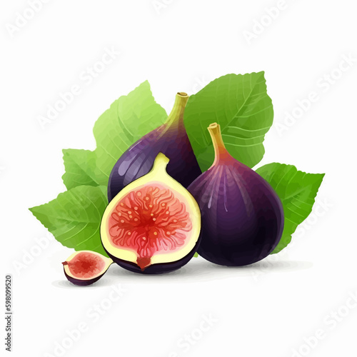 A collection of fig vector images.