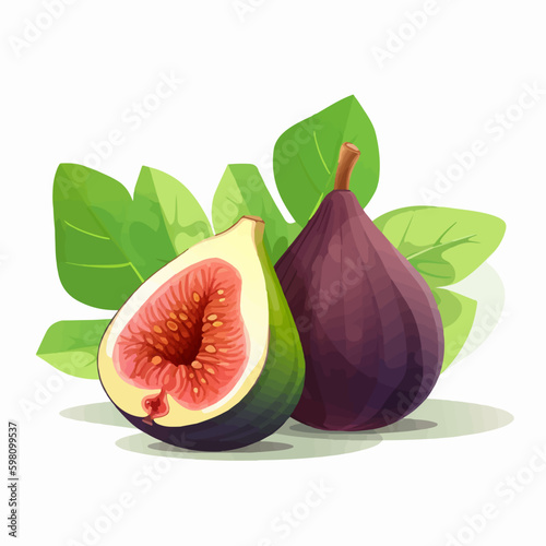 Vector illustration of a fig with a dark background.