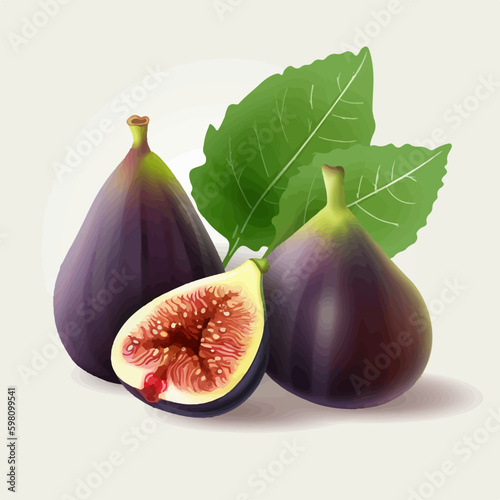 Vector image of a fig with a green stem and leaves.