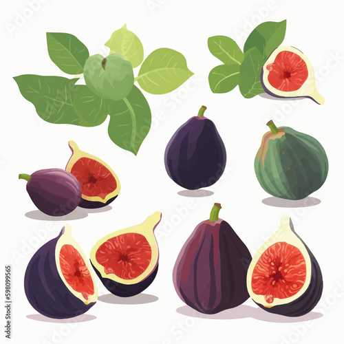 Fig vector illustration with a whimsical feel.